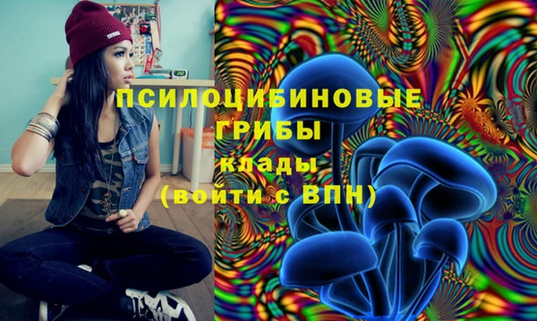 мяу мяу кристалл Лихославль