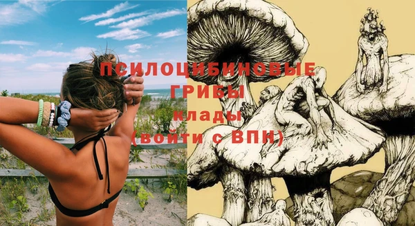мяу мяу кристалл Лихославль